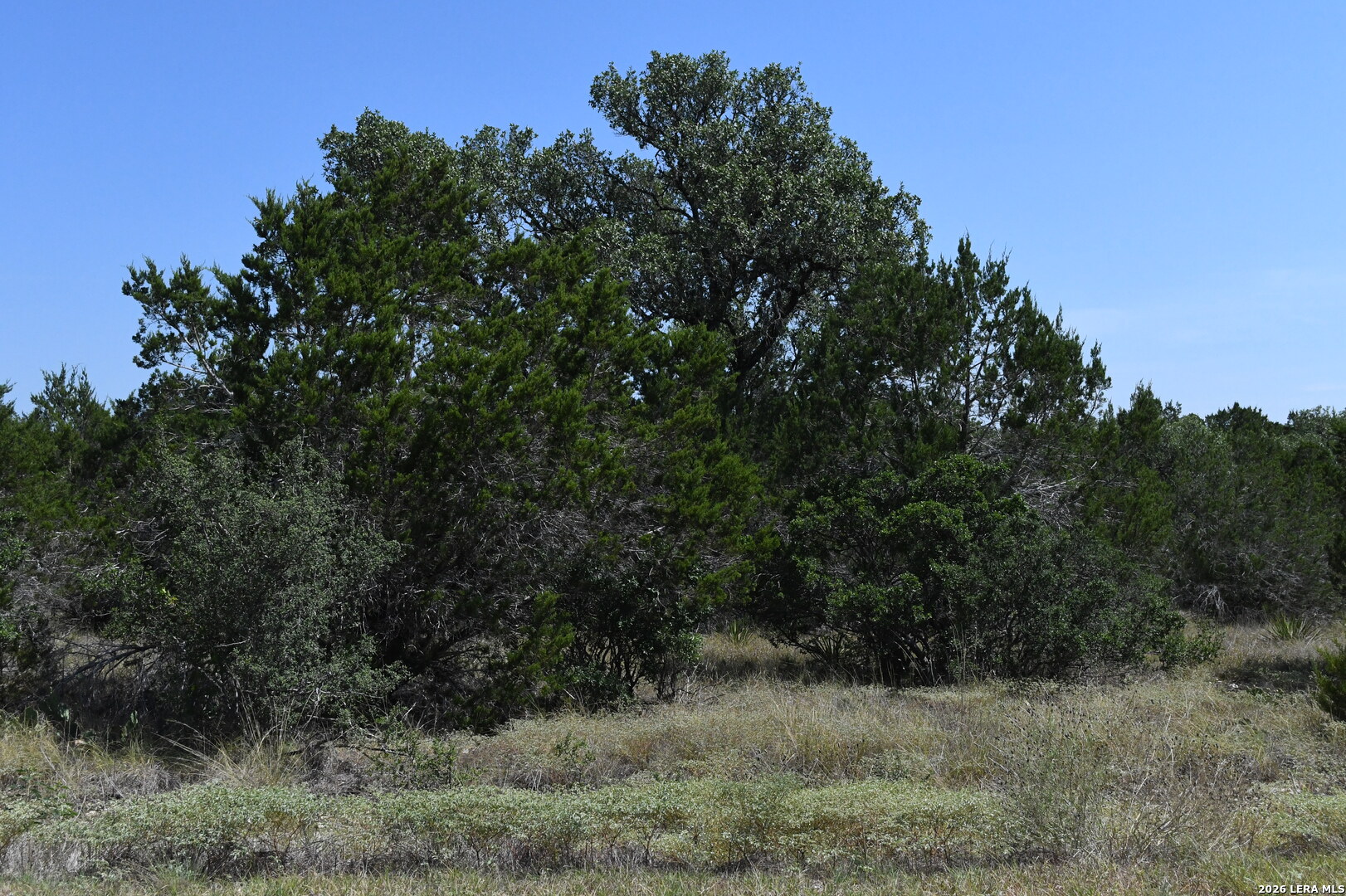 291 Serenity Pass — photo 1