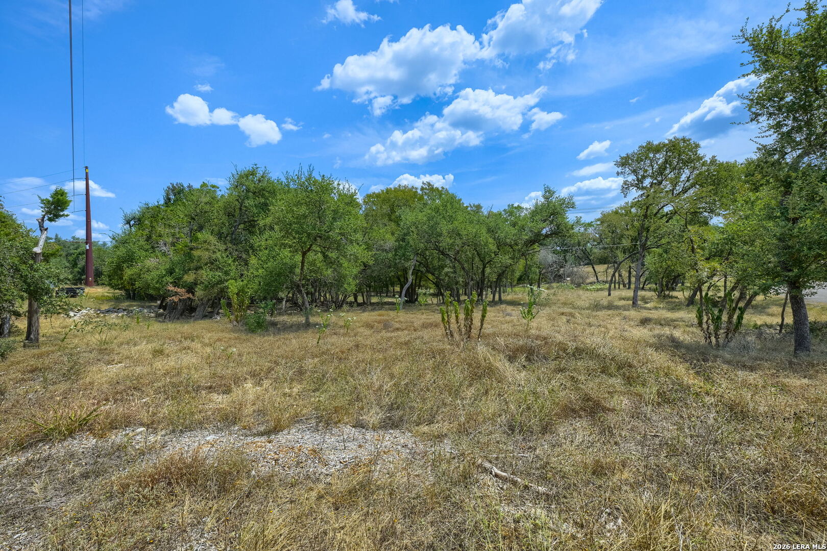 Leveritts Loop — photo 1