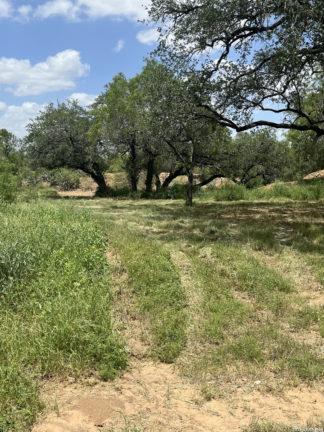 946 County Road 2863 — photo 1
