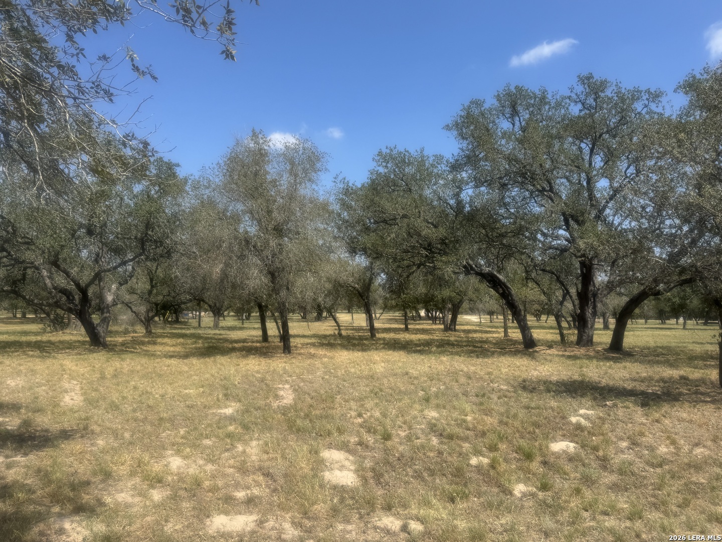 1600 County Road 770 — photo 1